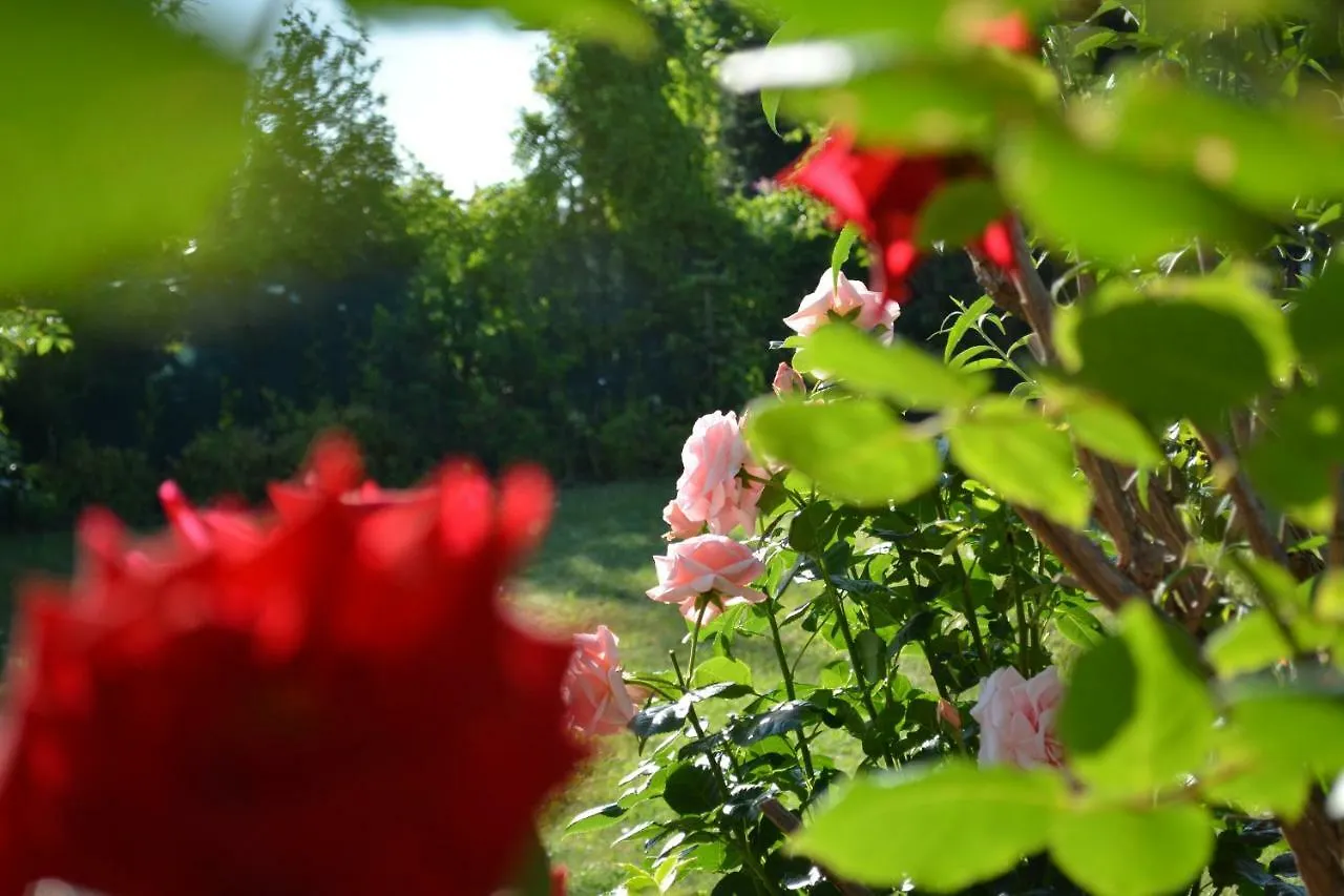 Hotel Prague Rose House Gasthof